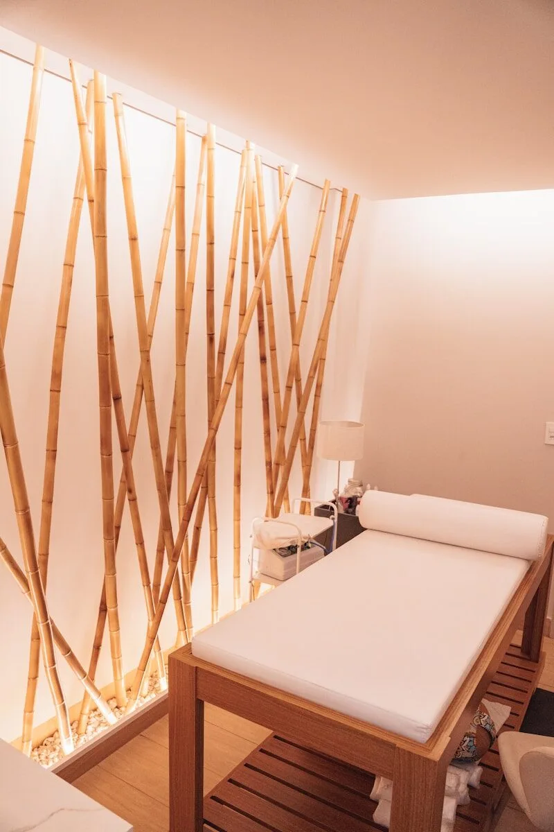 Hot stone massage treatment image for wellness website demo